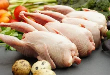 بلدرچین پرتقالی