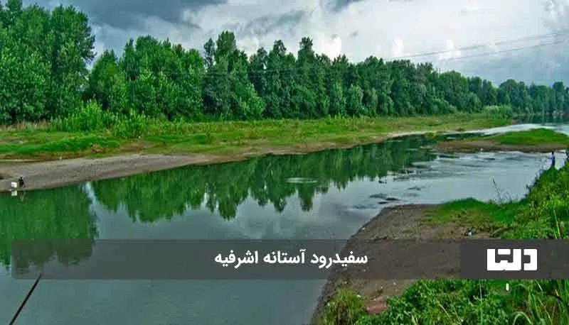 بادام زمینی1