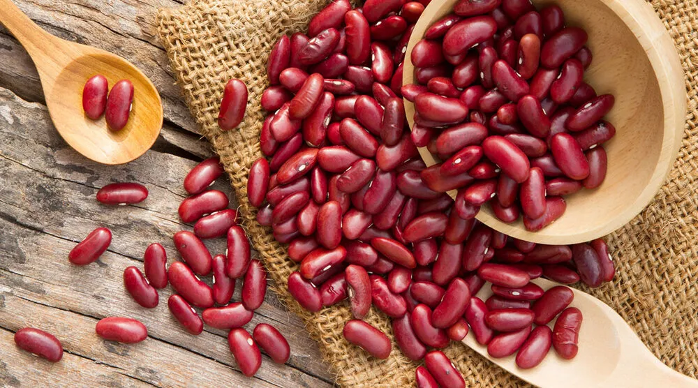 رژیم غذایی ذهن بهترین مواد غذایی برای جوانی 1