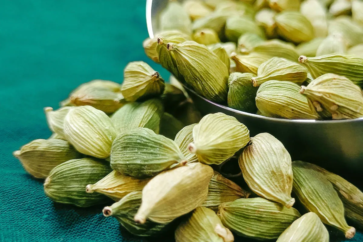 cardamom 1