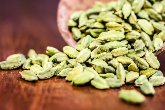 cardamom plant 5