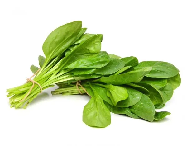 اسفناج1