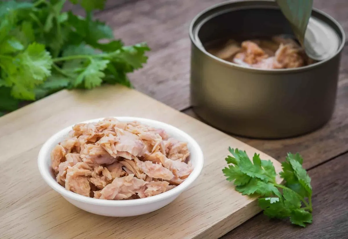 بررسی خواص تن ماهی در رژیم لاغری