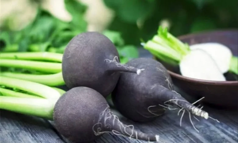 ترب سیاه