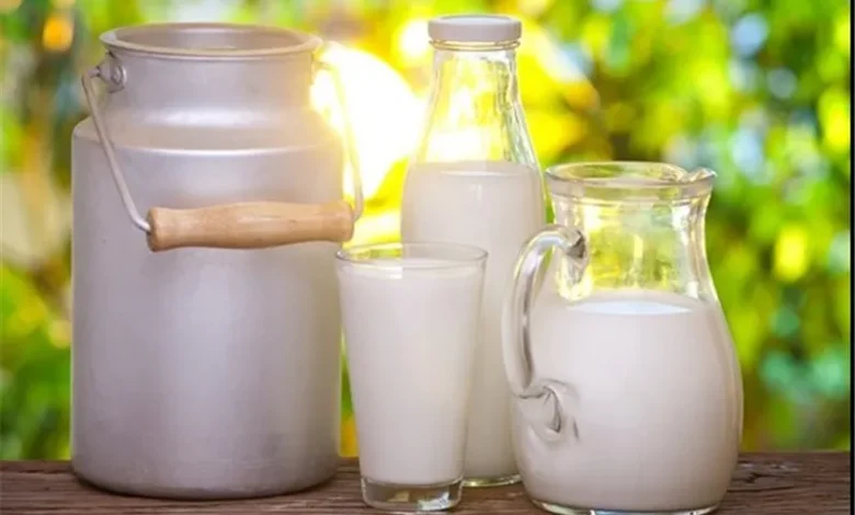 تولید شیر بدون نیاز به گاو