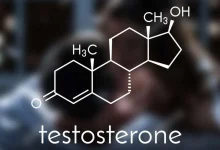 راه های افزایش تستوسترون1