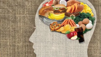 رژیم غذایی ذهن بهترین مواد غذایی برای جوانی مغز