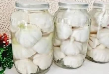 سیر ترشی به روش روس ها