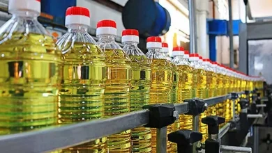 صادرات روغن نباتی ممنوع شد