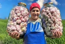 طرز تهیه ترشی سیر و کباب گوشت گاو به روش زوج آذربایجانی