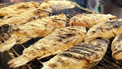 غذای خیابانی در تایلند؛ کباب کردن ماهی به روشی ویژه