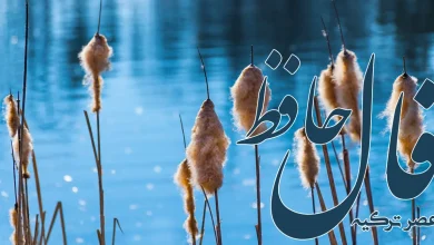 فال حافظ 23 خرداد