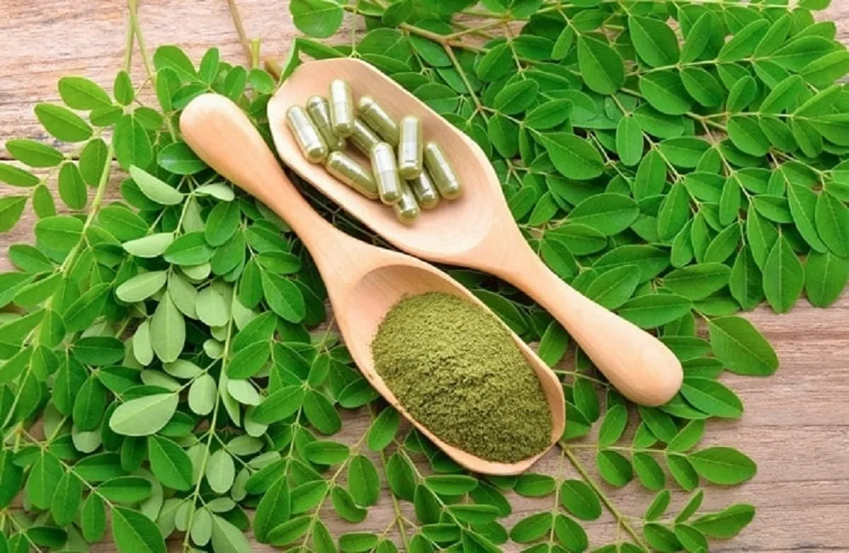 مورینگا