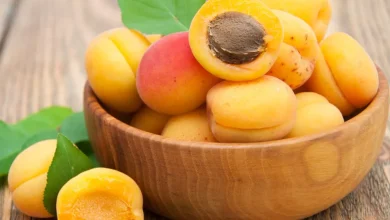 هسته زردآلو