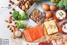 چرا هر روز باید پروتئین مصرف کنیم؟ + منابع پروتئین گیاهی و حیوانی