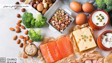 چرا هر روز باید پروتئین مصرف کنیم؟ + منابع پروتئین گیاهی و حیوانی
