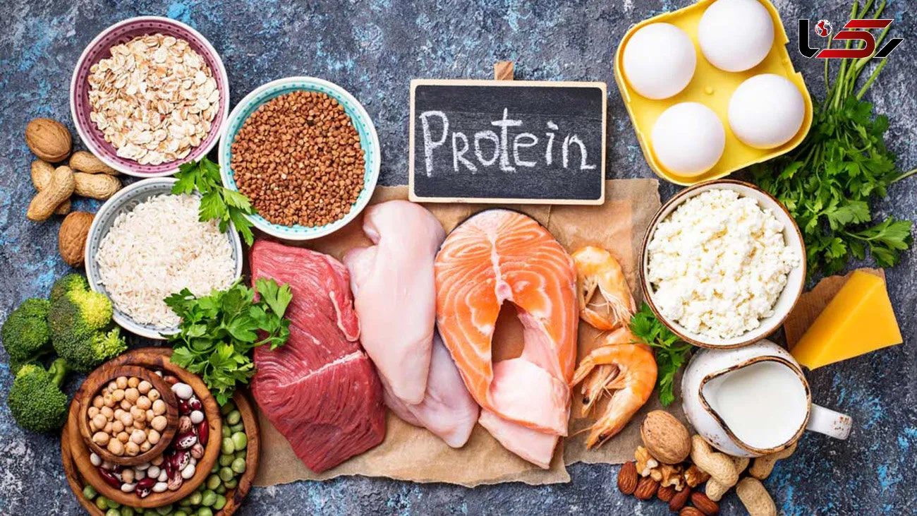 چرا هر روز باید پروتئین مصرف کنیم؟ + منابع پروتئین گیاهی و حیوانی1