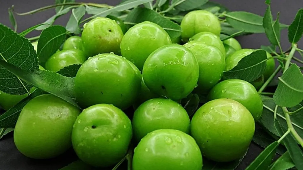 گوجه سبز برای کبد1