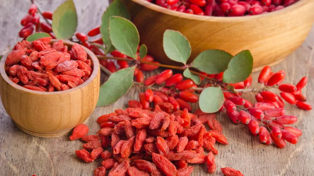 ۹ خاصیت اثبات شده زرشک1