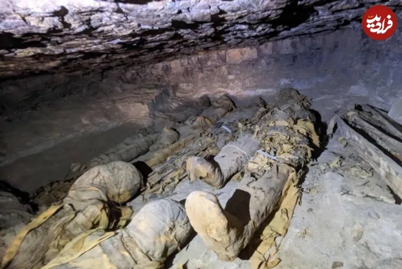 آیا بیماری مومیاییها میتواند به انسانهای امروزی منتقل شود؟