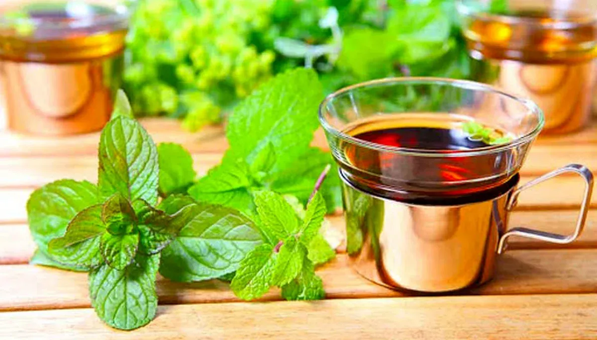 این گیاه ضدریزش مو، ضداسترس، ضدسردرد، ضدنفخ، ضدکبدچرب، ضد دیابت است1