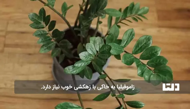 خاک