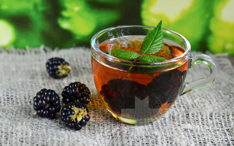 چای شاه توت