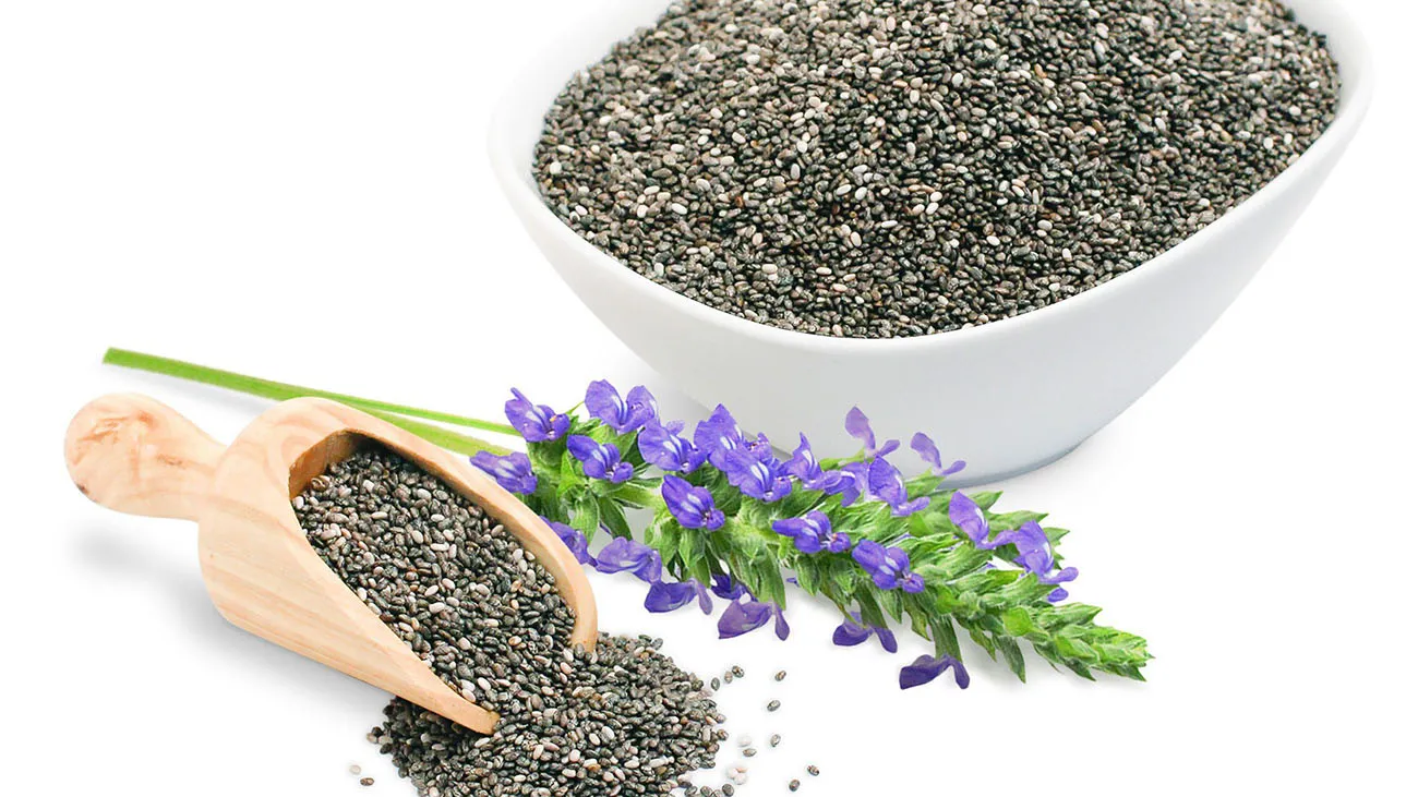 چه کسانی نباید دانه چیا مصرف کنند؟1
