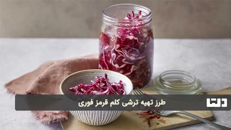ترشی کلم قرمز