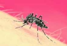 coping with dengue fever