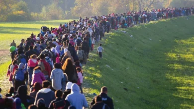 migration