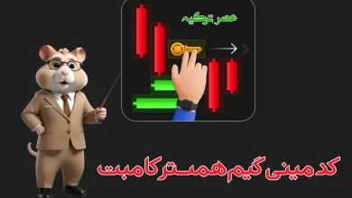 مینی گیم همستر