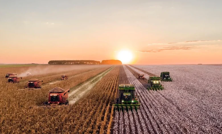 turkish agriculture