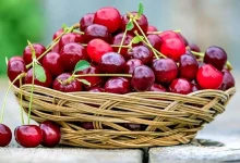 آب این میوه تابستانی هم به سلامت قلب کمک می کند