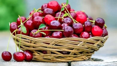 آب این میوه تابستانی هم به سلامت قلب کمک می کند