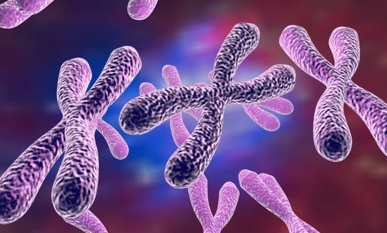 آیا ناپدید شدن کروموزوم y باعث عارضه ی قلبی می‌شود1