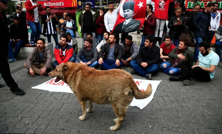 اردوغان