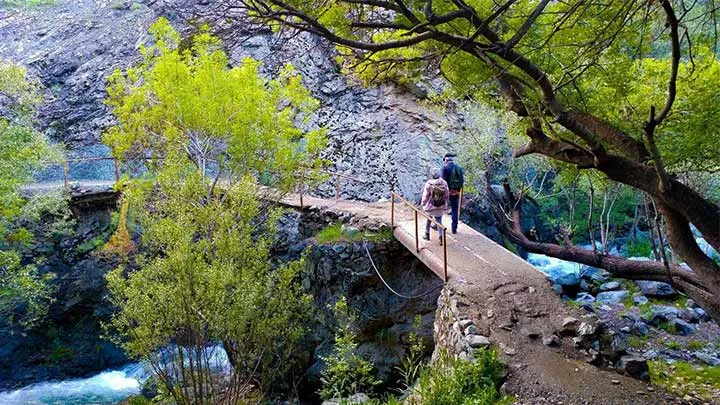 تهران