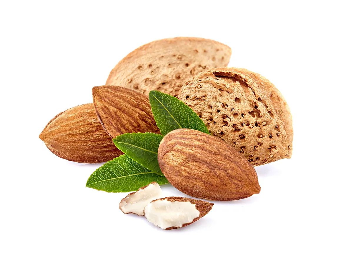 این غذاها را بخورید تا خستگی را از بدن‌تان رفع کند و به شما انرژی مضاعف دهد1