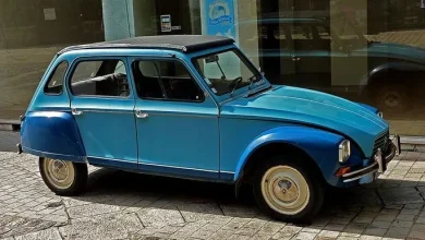 ژیان