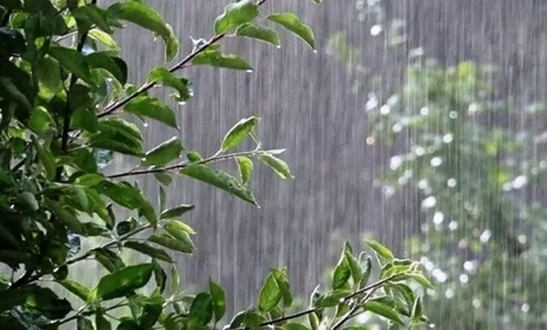 کشور