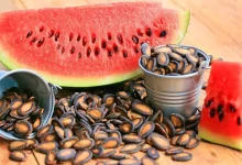 هوش کودک
