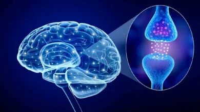 تست ۳ دقیقه ای تشخیص بیماری پارکینسون