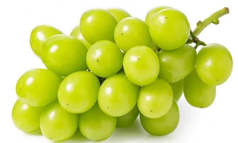 انگور سبز
