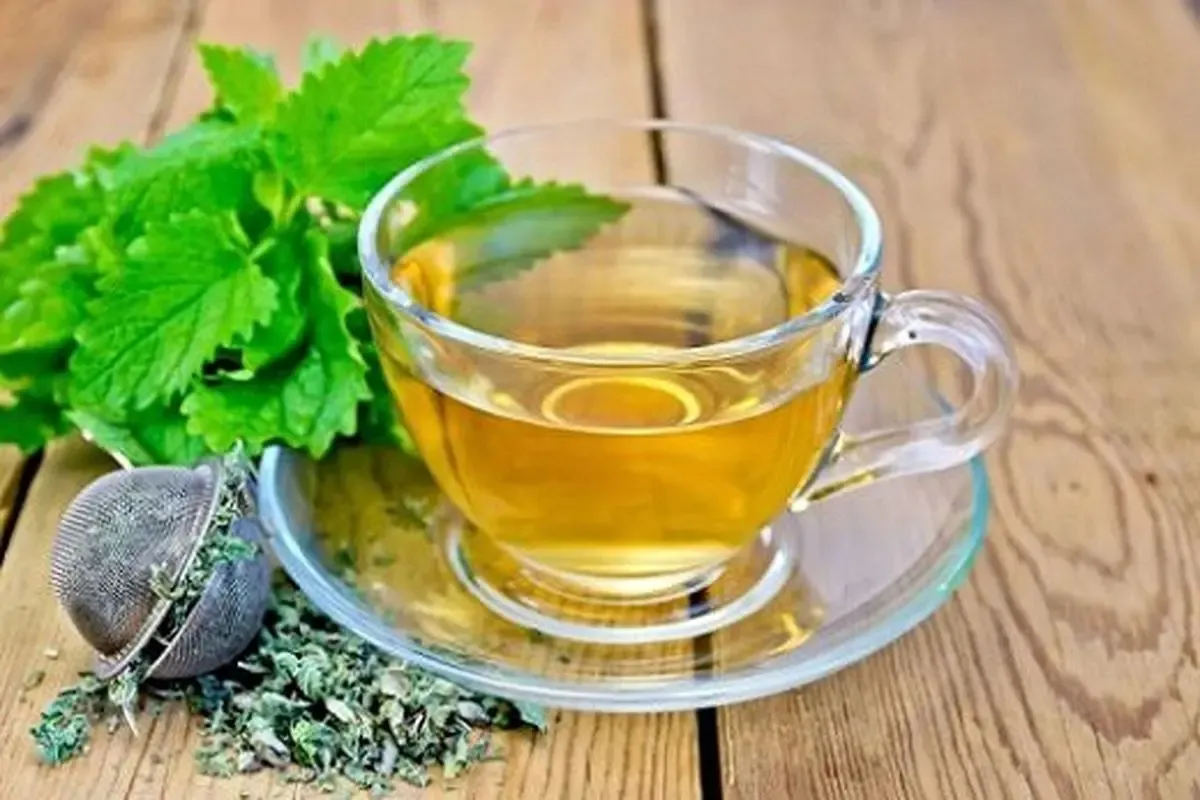 خاصیت بادرنجبویه 12 خاصیت درمانی بی‌نظیر3