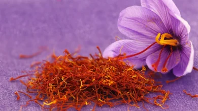 خواص دارویی زعفران4