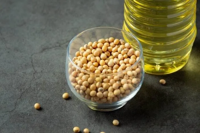 روغن سویا