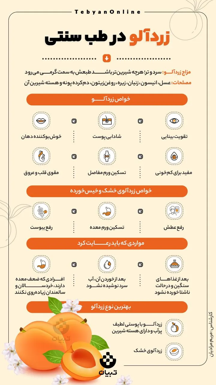 خواص زردآلو در طب سنتی (اینفوگرافیک)