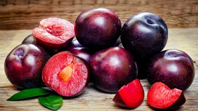 روش نگهداری آلو برای مدت طولانی