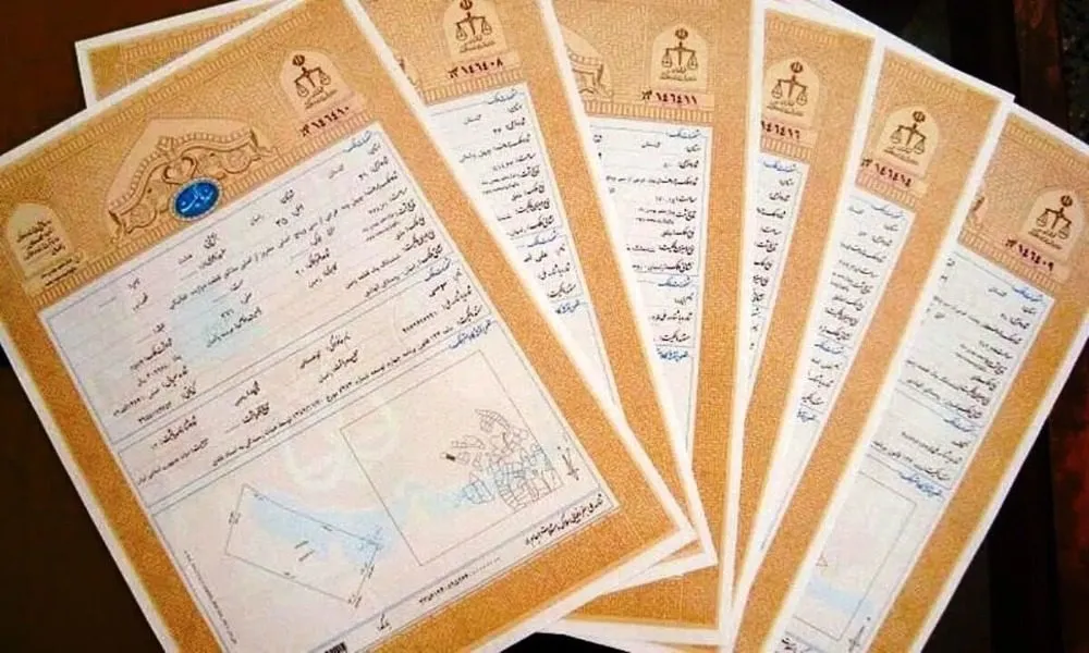 سند تک‌برگ‌